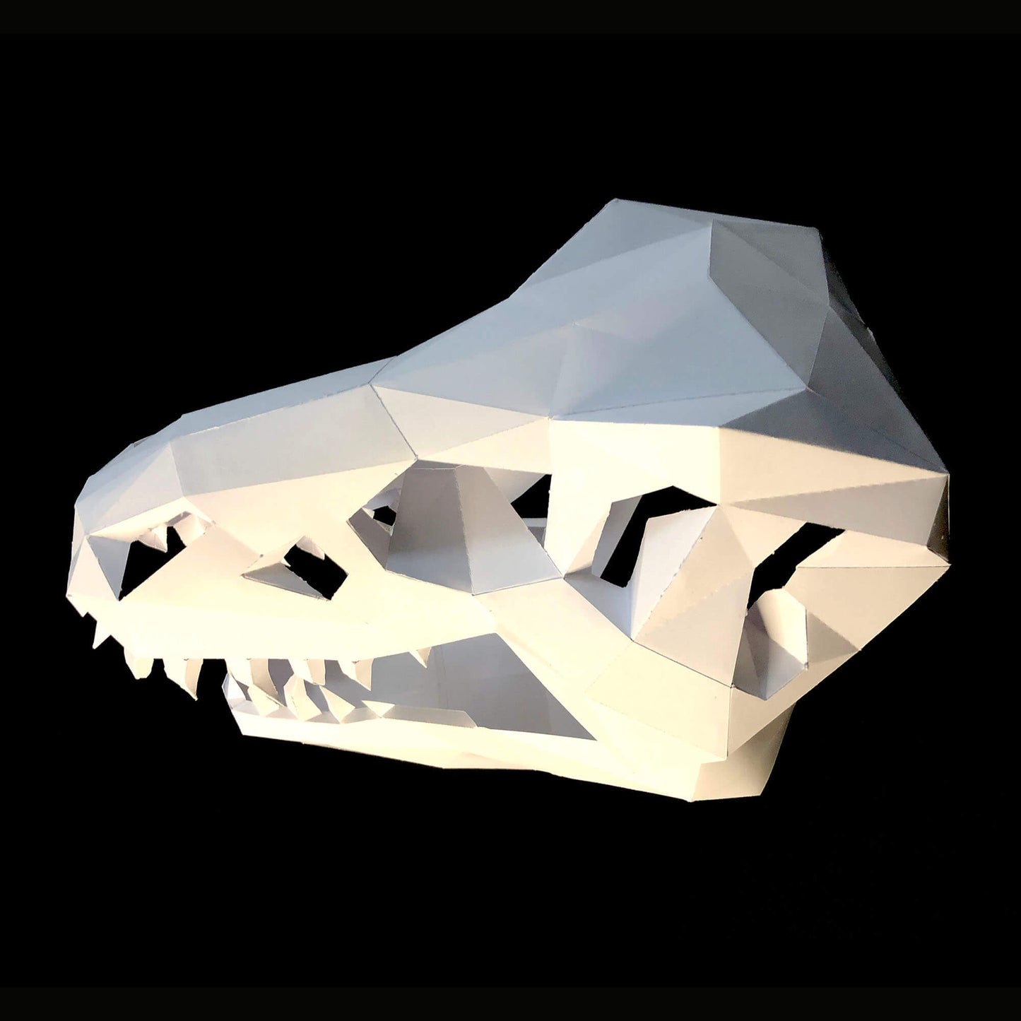 TREX SKULL FOSSIL MASK - Lucas Papel Tijera