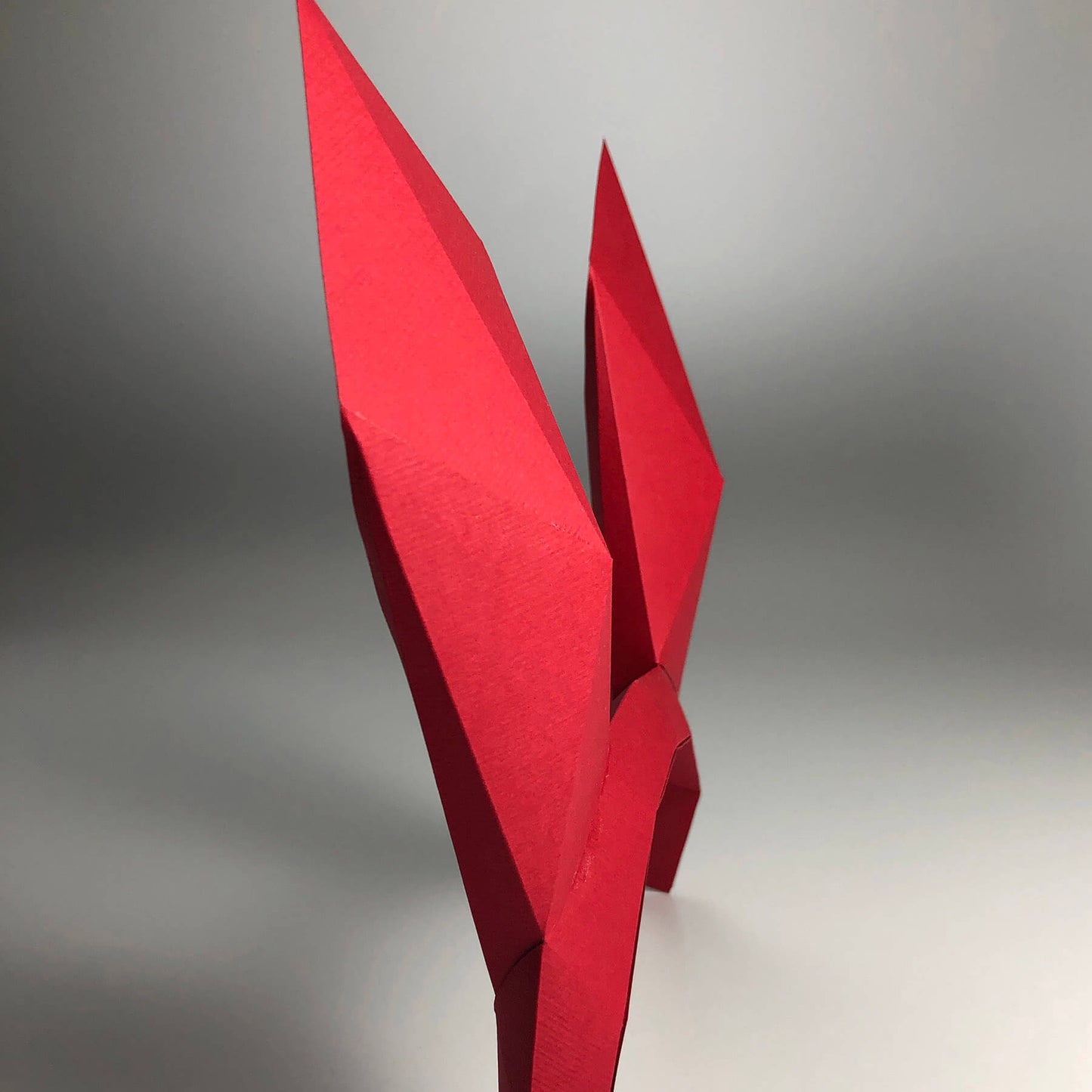 RABBIT EARS HEADBAND - Lucas Papel Tijera