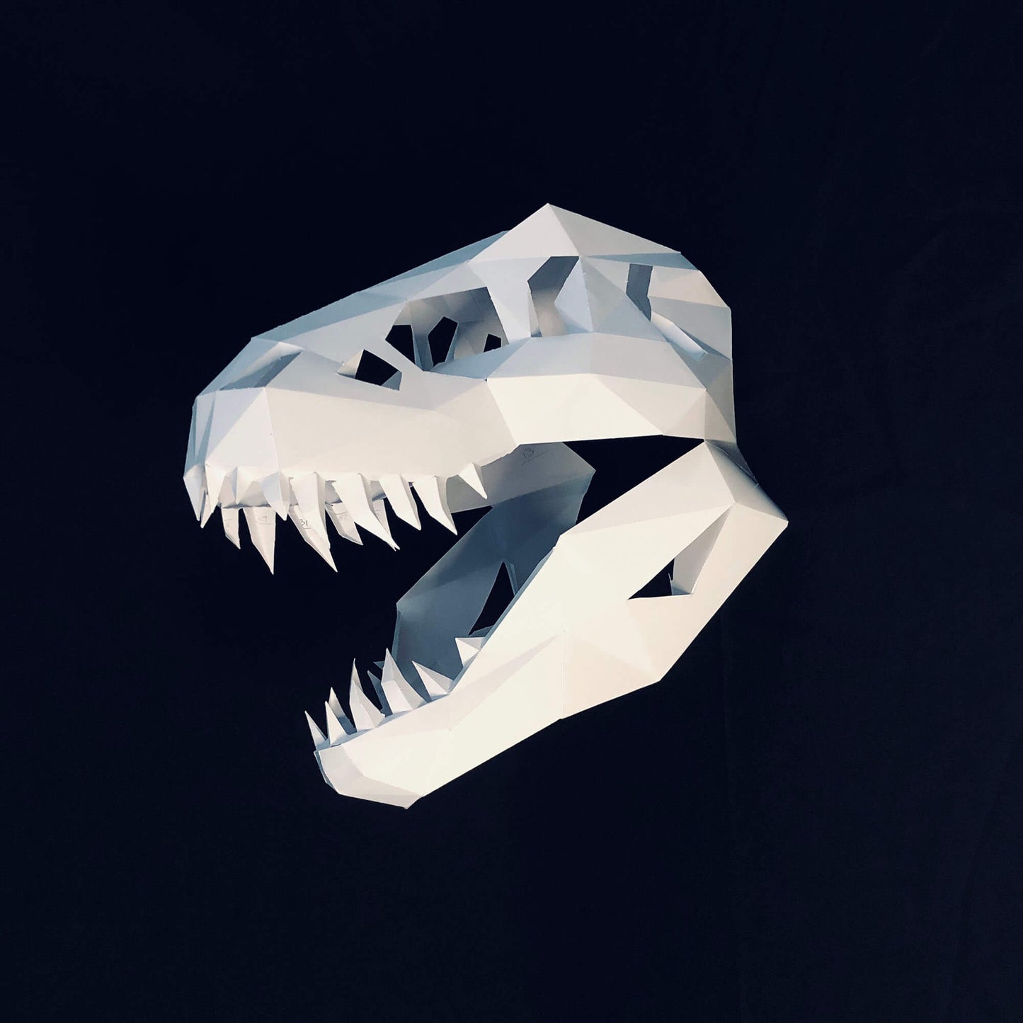 TREX SKULL FOSSIL MASK - Lucas Papel Tijera