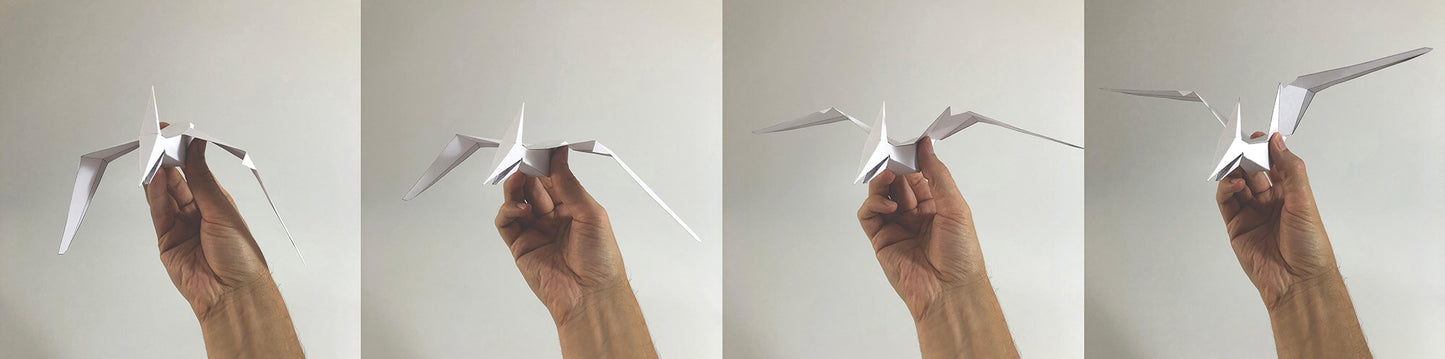 Pteranodon moving wings paper toy